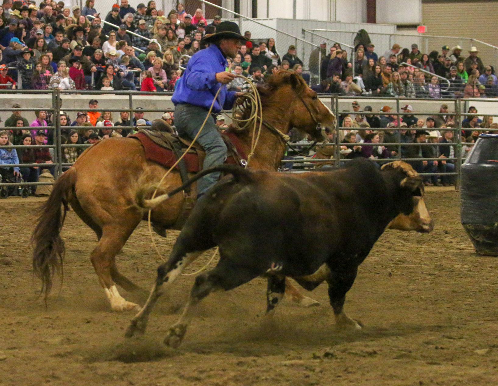 BullBash-49.JPG